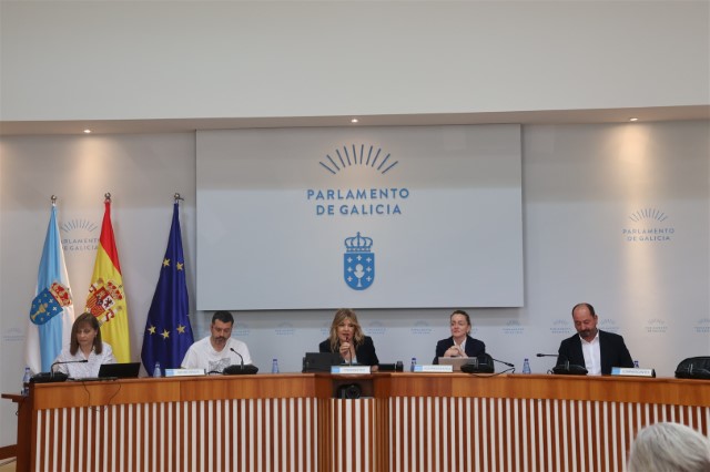 Acordos aprobados na reunión da Comisión 6ª, Industria, Enerxía, Comercio e Turismo celebrada o 29 de abril de 2025